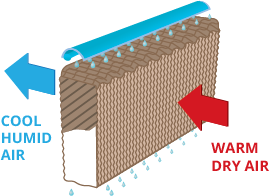 Evaporative Coolers - How the evaporative cooling process works 